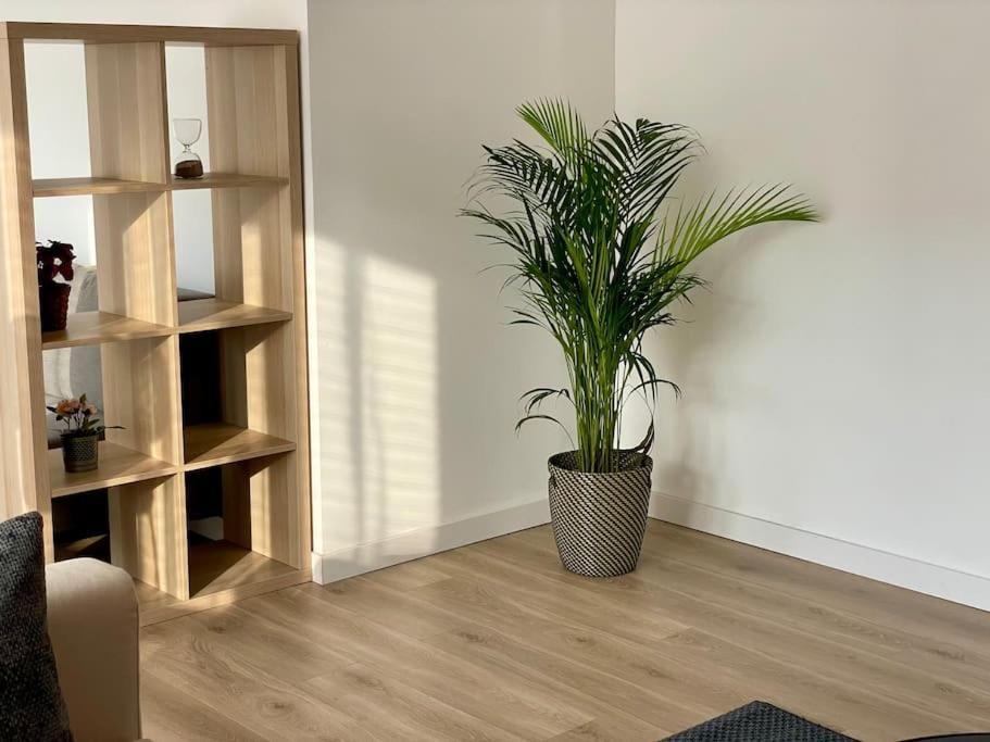 Appartement 73M2 - 2 Chambres - Parking - Wi-Fi トゥールーズ エクステリア 写真