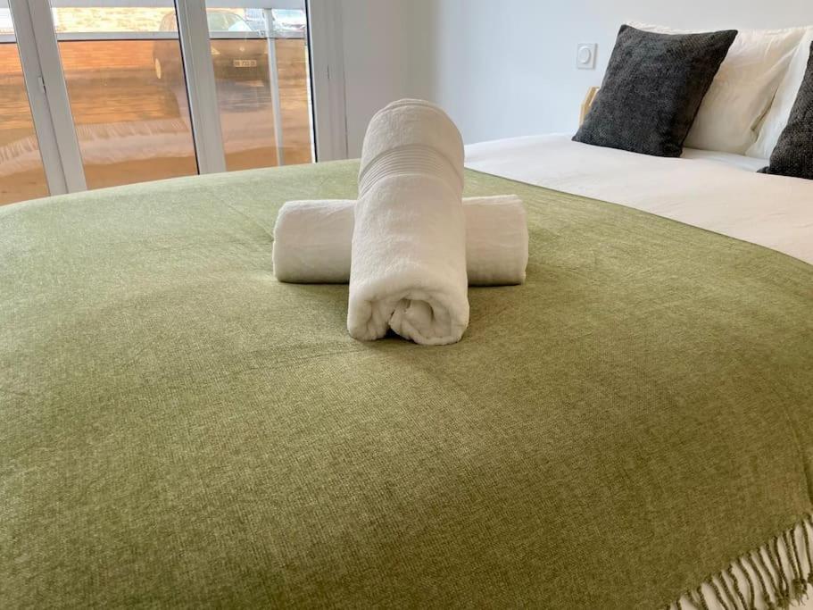 Appartement 73M2 - 2 Chambres - Parking - Wi-Fi トゥールーズ エクステリア 写真