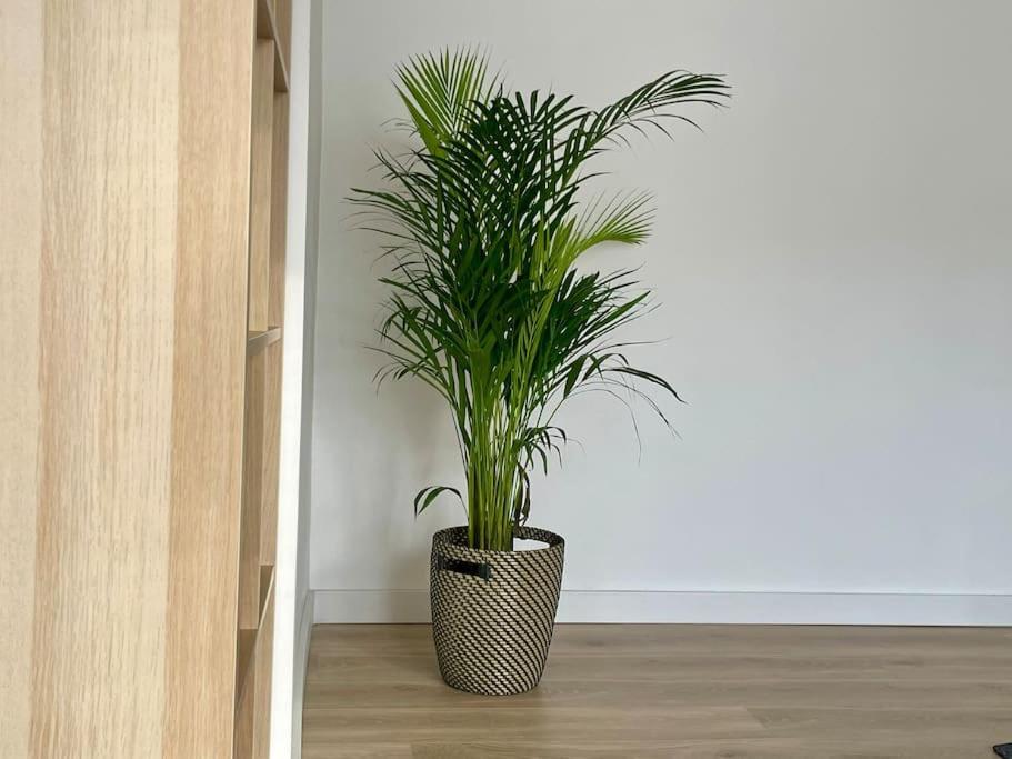 Appartement 73M2 - 2 Chambres - Parking - Wi-Fi トゥールーズ エクステリア 写真